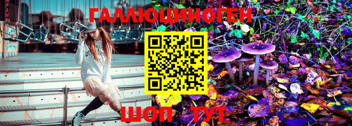 Галлюциногенные грибы мухоморы Домодедово