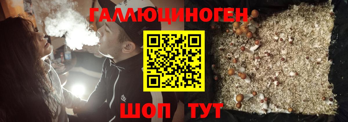 Домодедово  Псилоцибиновые грибы мухоморы  Вход с VPN 